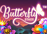 Butterfly Staxx